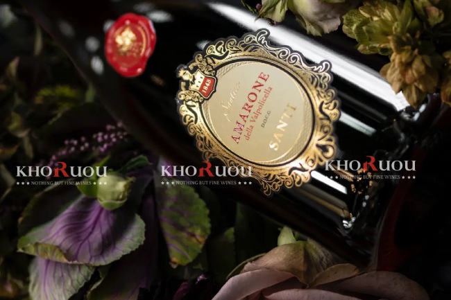 Rượu Vang Ý Santico Amarone Della Valpolicella DOCG
