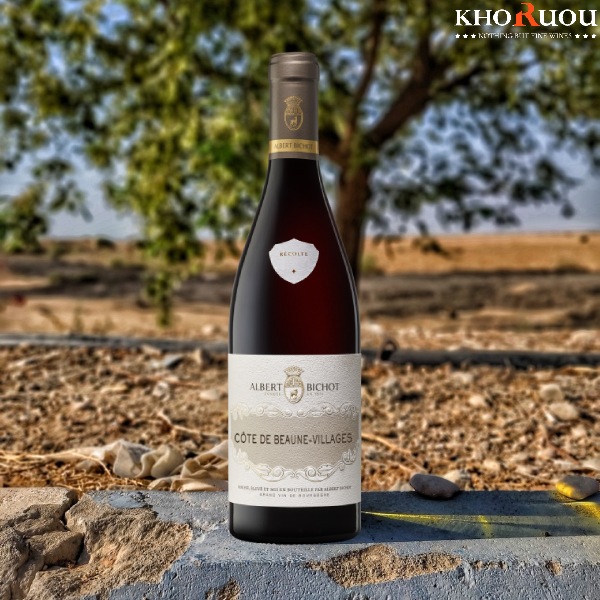 Rượu vang Pháp Albert Bichot Côte de Beaune-Villages khoruou