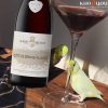 Rượu vang Pháp Albert Bichot Côte de Beaune-Villages khoruou