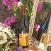 Rượu vang Pháp Albert Bichot Beaujolais Villages Mr. No Sulfite khoruou