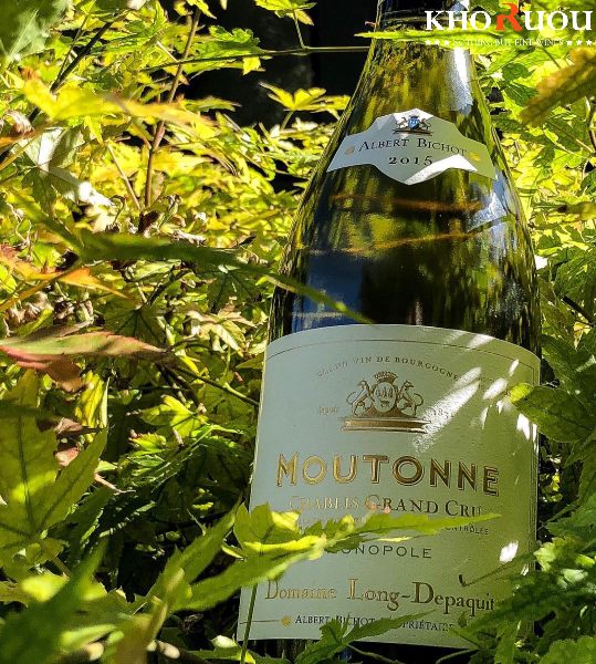 Rượu vang Pháp Albert Bichot Domaine Long-Depaquit Chablis Grand Cru "Moutonne" Monopole khoruou