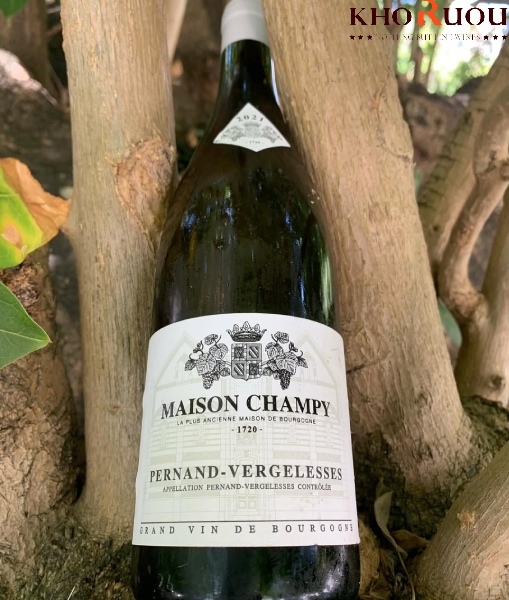 Rượu vang Pháp Maison Champy Pernand-Vergelesses Premier Cru khoruou