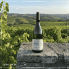 Ruou-vang-Y-Fallwind-Sauvignon(1) Rượu vang Ý Fallwind Sauvignon