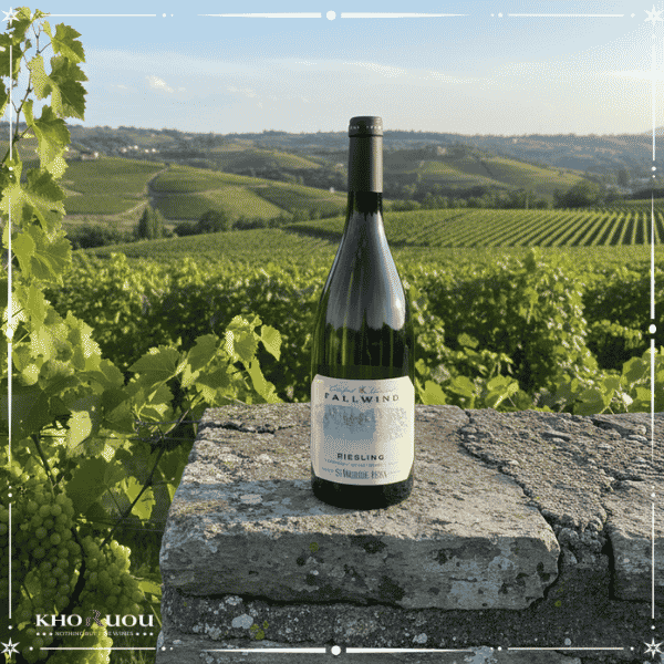 Ruou-vang-Y-Fallwind-Sauvignon(1) Rượu vang Ý Fallwind Sauvignon