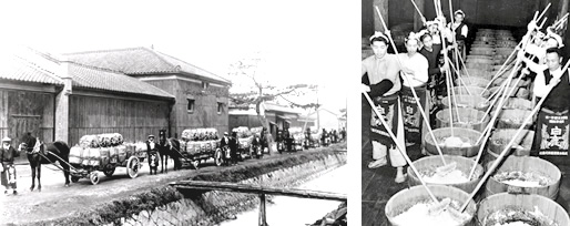 Hakushika