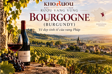 Rượu vang vùng Bourgogne (Burgundy) - Vẻ đẹp tinh tế của vang Pháp