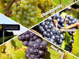 Rượu vang vùng Champagne - Tinh hoa vang sủi bọt nước Pháp
